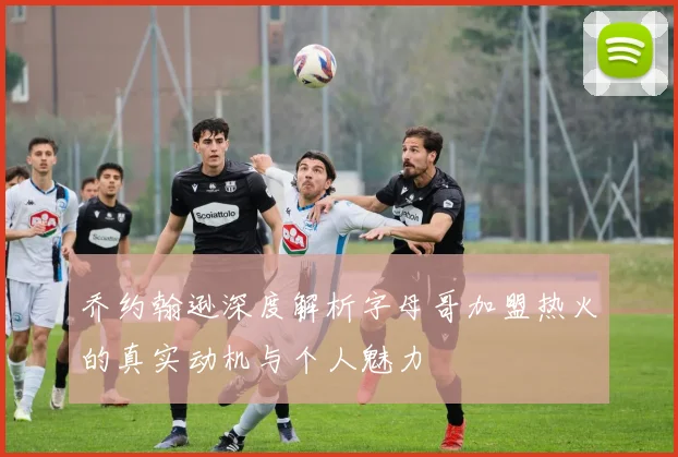 乔约翰逊深度解析字母哥加盟热火的真实动机与个人魅力