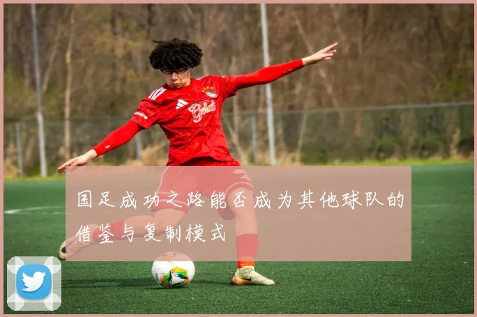 国足成功之路能否成为其他球队的借鉴与复制模式